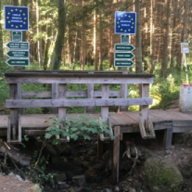 Grenzübergang im Wald bei Rottal